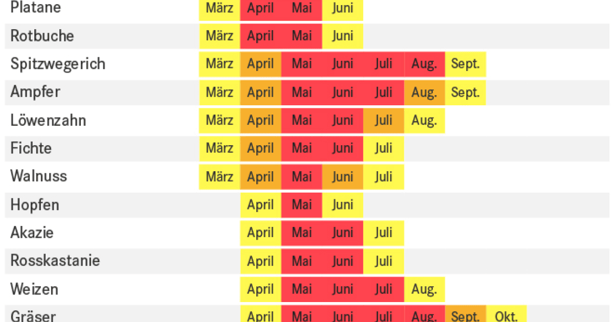 Pollensaison Pollenflugkalender: Blütezeiten von Birke, Gräsern und Kräutern ...