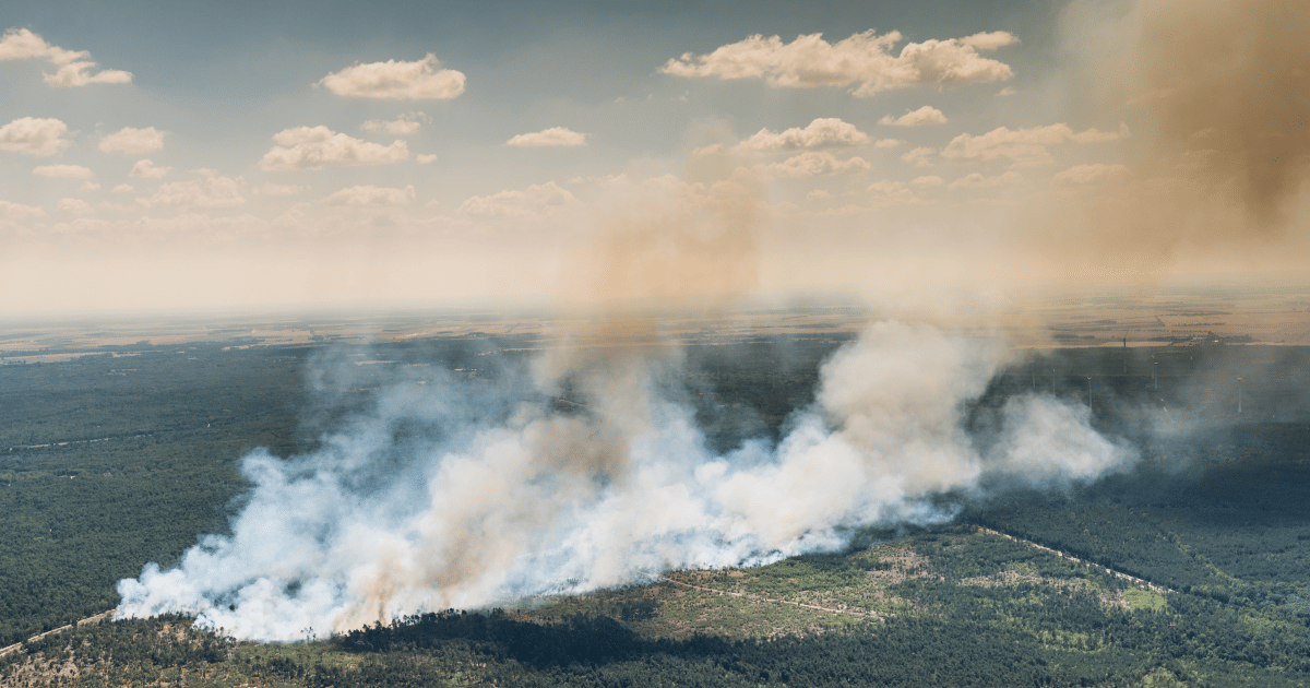 Wildfires in Southern Europe: Smoke reaches Germany