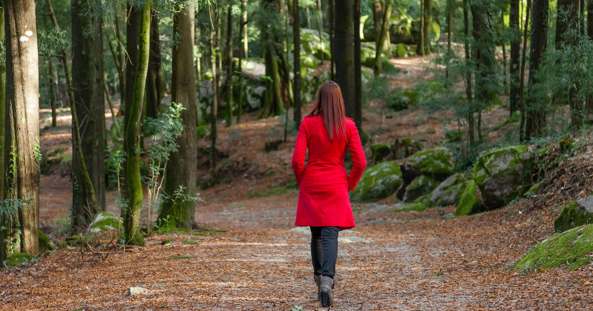 Gr-n-f-r-die-Seele-wie-Waldbaden-den-Stress-lindern-kann