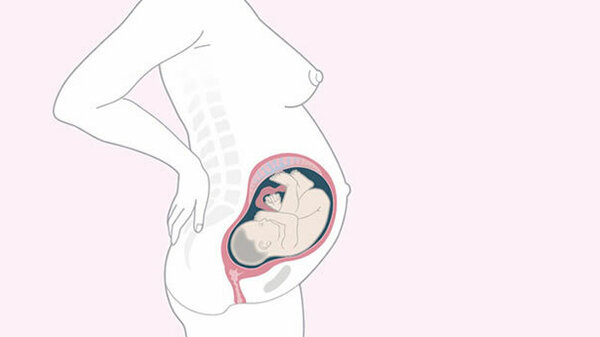 Komische Bewegungen Im Bauch Aber Nicht Schwanger Bewegungen im Bauch: Was bedeuten sie? | Apotheken Umschau