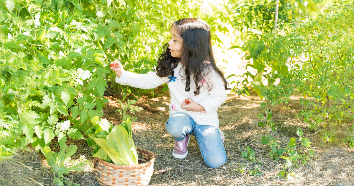 Diese-Pflanzen-in-Garten-und-Natur-sind-giftig