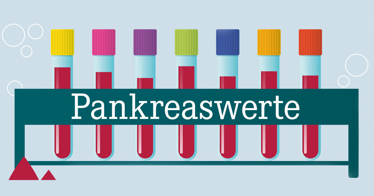bauchspeicheldrüse blutwerte zu hoch