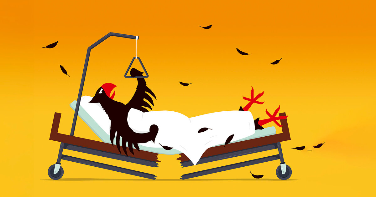 Pflegeversicherung-Wie-stopft-man-die-Finanzierungsl-cke-