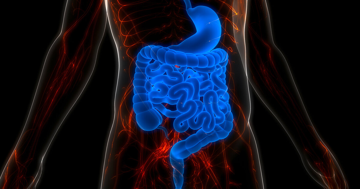 Kann-der-Darm-l-chrig-sein-Das-ist-dran-am-Leaky-Gut-Syndrom