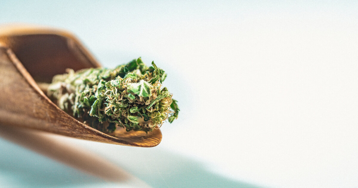 Psychosen-durch-Cannabiskonsum-nehmen-laut-einer-Studie-zu