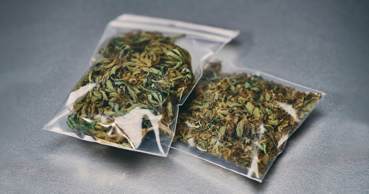 Medizinal-Cannabis-Streit-um-strengere-Regeln-f-r-Rezeptvergabe