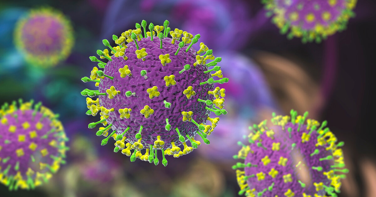 Indien-meldet-zwei-Nipah-Virusinfektionen