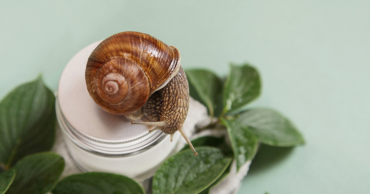 Sch-nere-Haut-durch-Schneckenschleim-Das-ist-dran-am-Trend