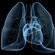 Lungenkrankheit COPD und Herzschwäche kommen oft gemeinsam vor