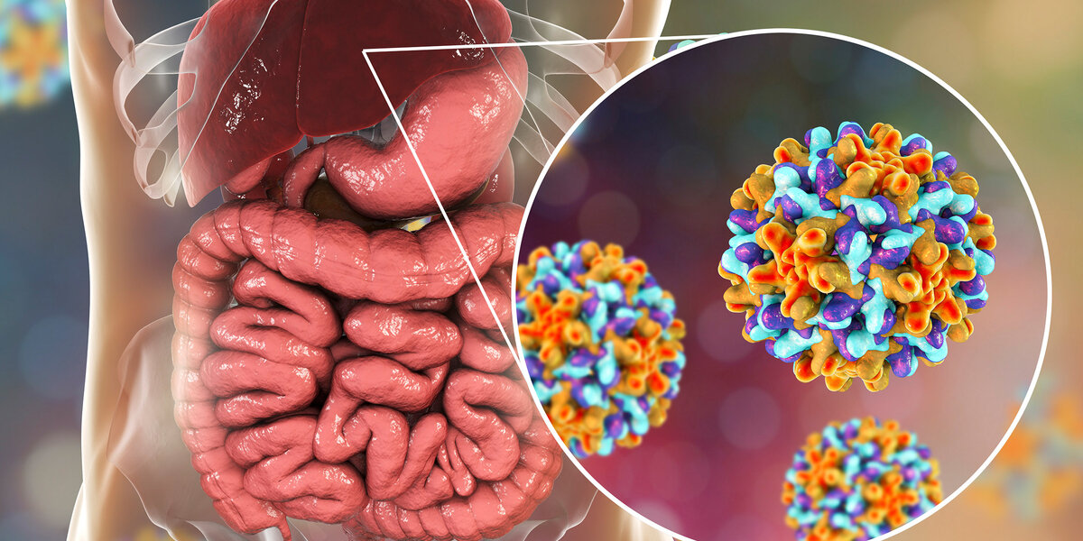 Wie Bekommt Man Hepatitis B Hepatitis B: Entzündung der Leber | Apotheken Umschau