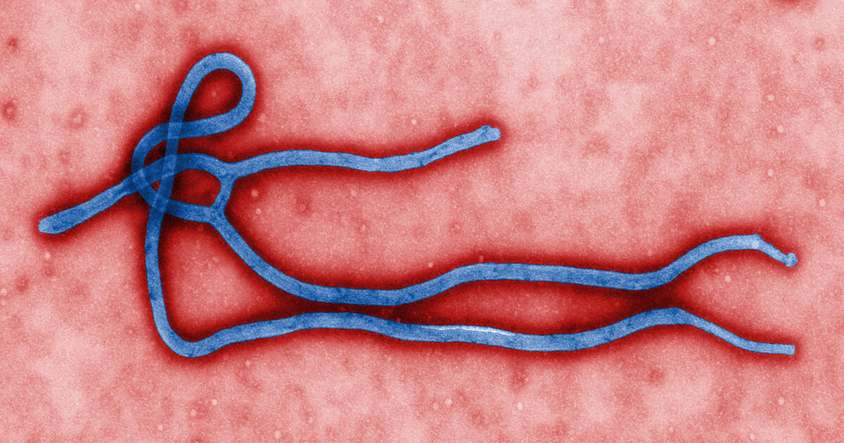 Ebola-Ansteckung-Symptome-Behandlung