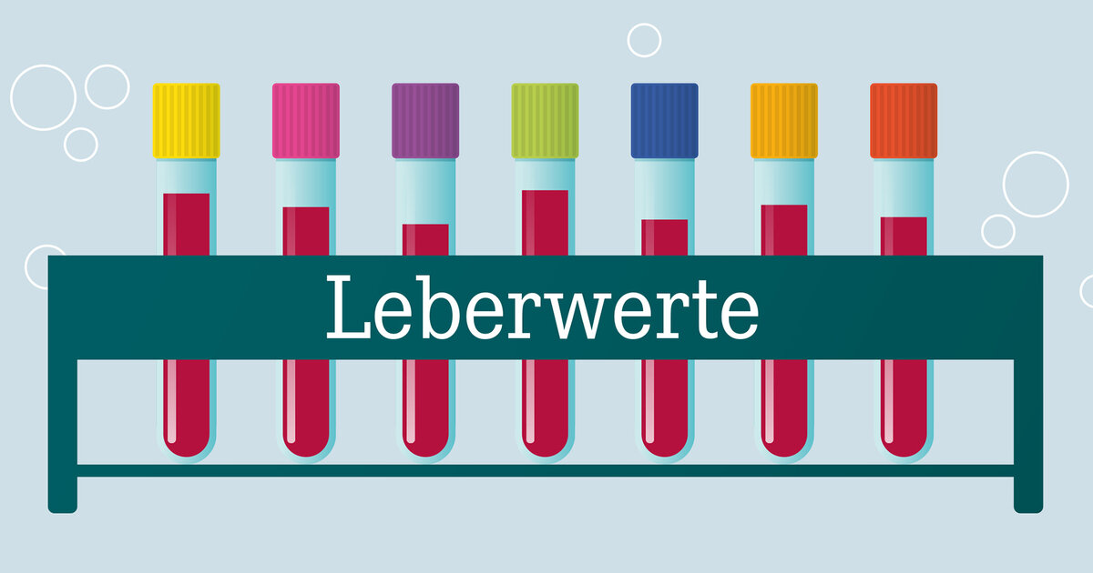 Abkürzung Für Leberwert Im Blutbild www.apotheken-umschau.de